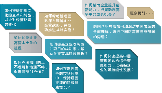 公司特设课程csp
