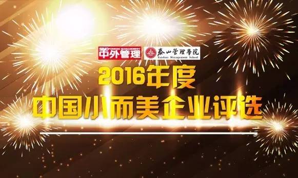 2016年度中国小而美企业评选