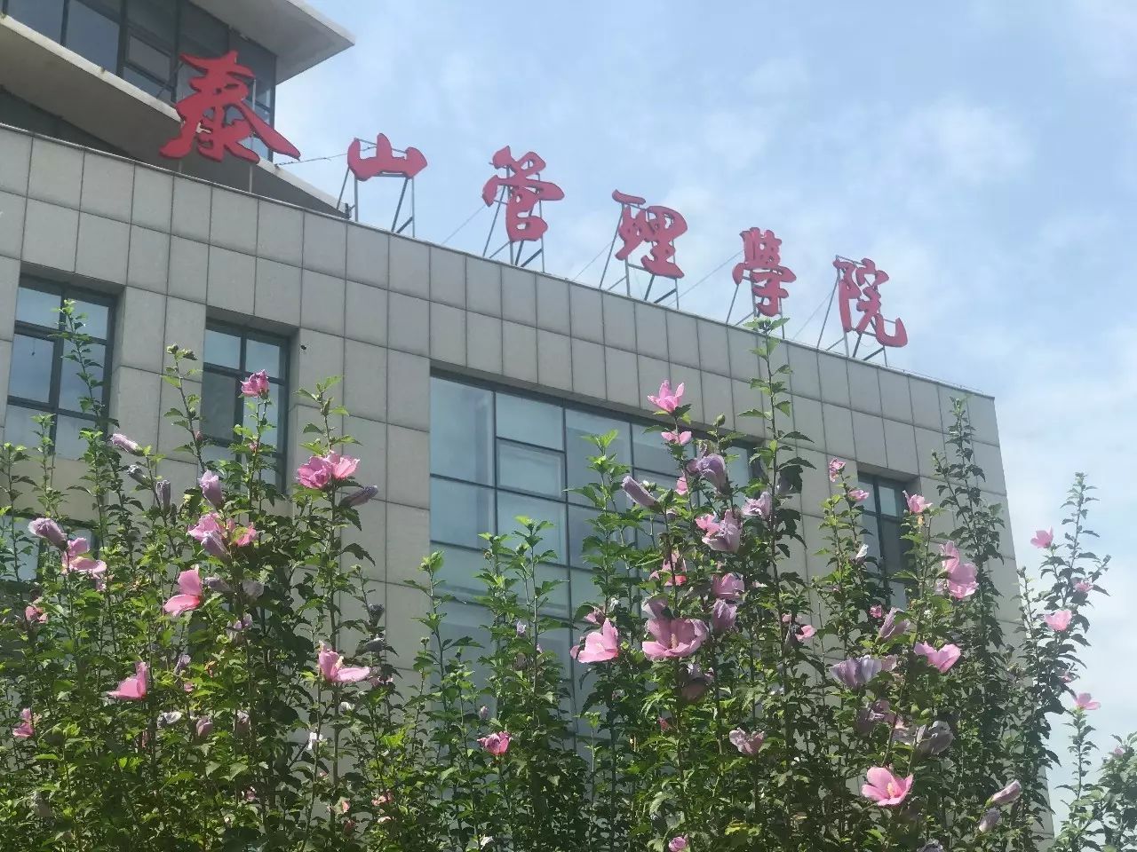 泰山管理学院