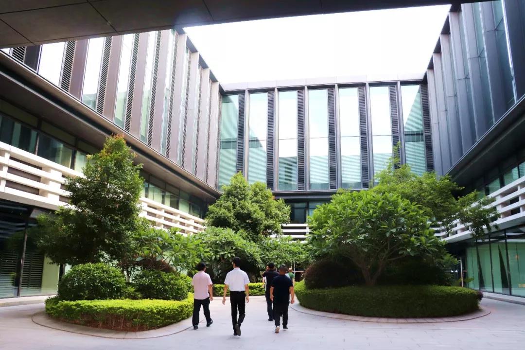 泰山管理学院游学