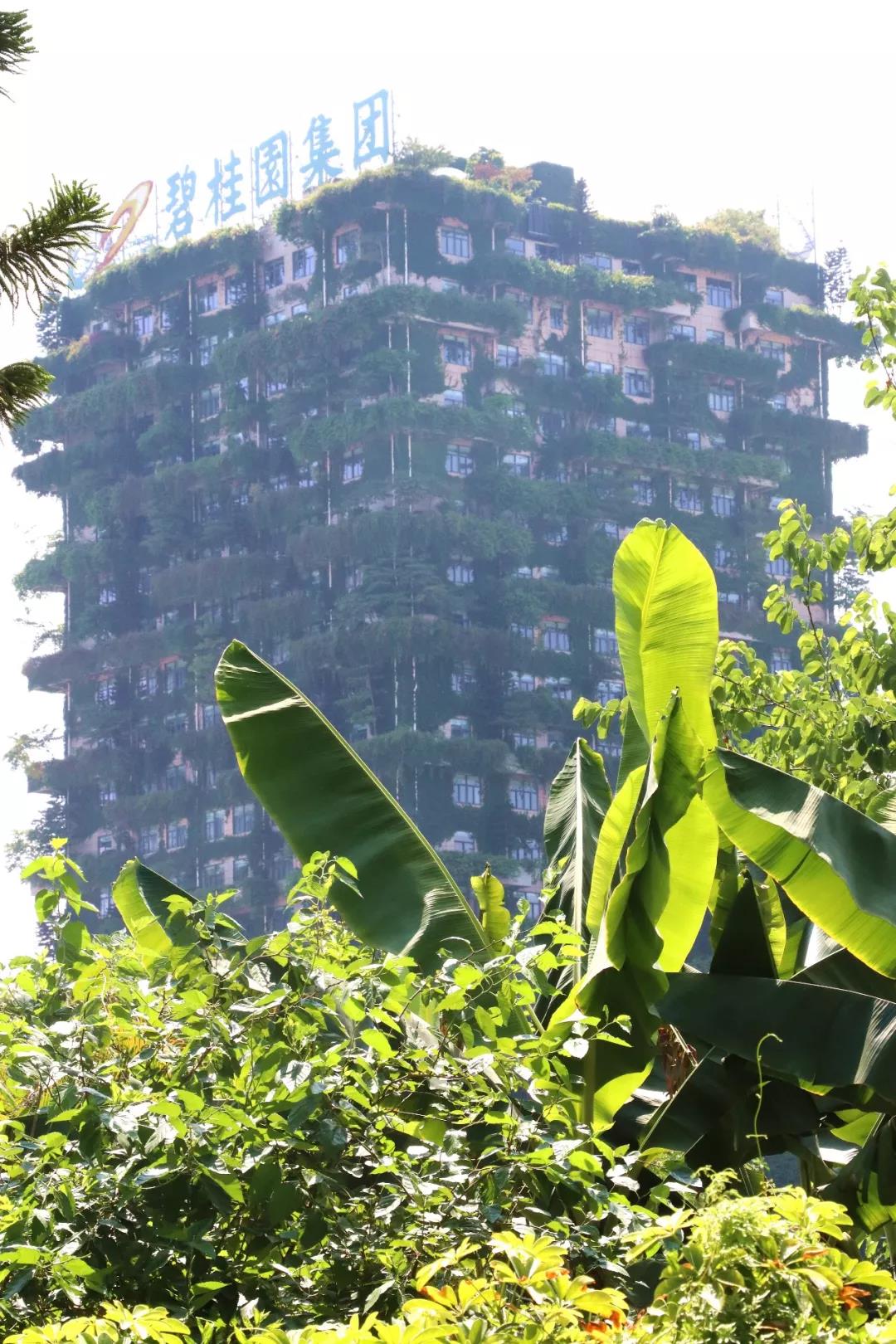 泰山管理学院游学