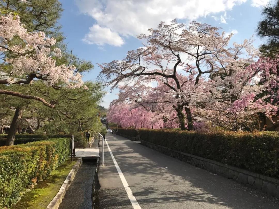 泰山管理学院日本游学